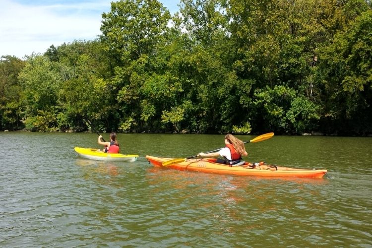 5 Outdoor Activities to Try in Washington, DC
