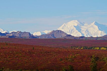 View in Denali National Park, Alaska
