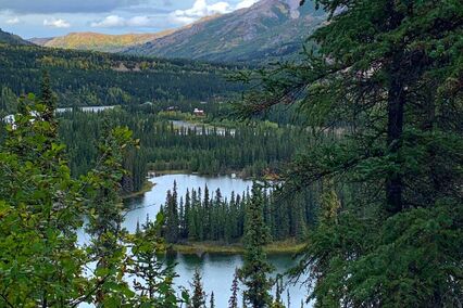 View from Horseshoe Lake Trail, Denali NP, Alaska