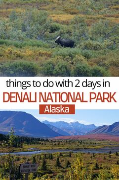 Explore a 2 day itinerary for visiting Alaska's spectacular Denali National Park. Take a hike, hop on a bus tour to search for wildlife, and stop by the Denali Sled Dog Kennels. 