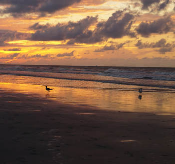 Sunrise on Folly Beach | 20 Colorful Photos from a Weekend in the Charleston Area