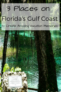 Visit Orlando, Siesta Key and Crystal River on this amazing road trip in Florida!