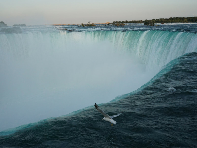 View of the top of the Canadian falls | 6 Helpful Tips for a First Visit to Niagara Falls