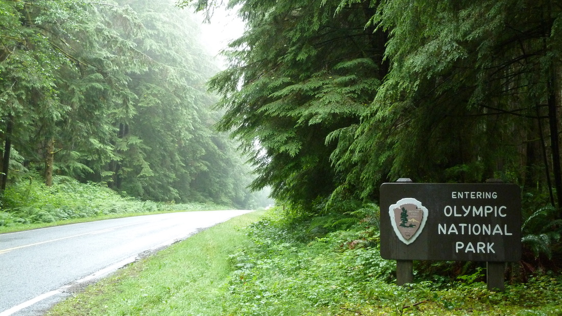Entering Olympic National Park.