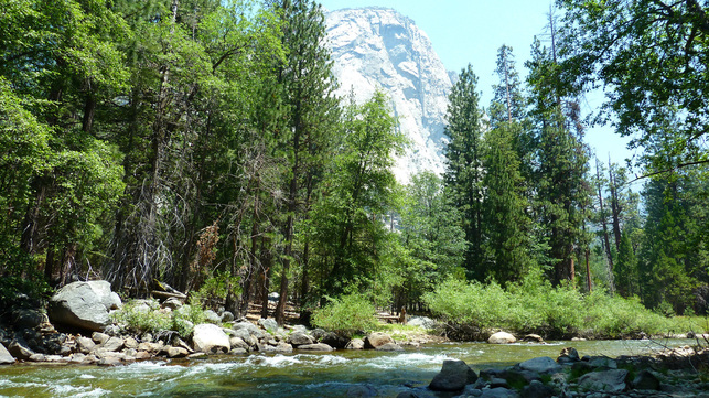 Kings Canyon - California Road Trip