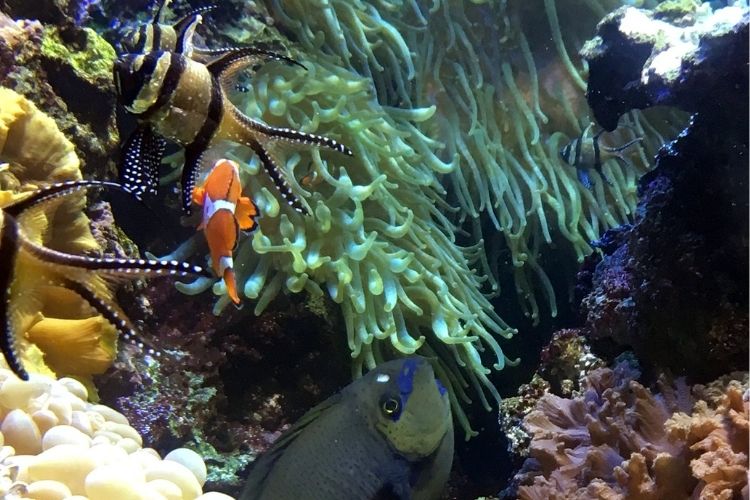 National Aquarium in Baltimore - A Cool Place for Teens